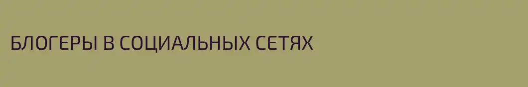 БЛОГЕРЫ В СОЦИАЛЬНЫХ СЕТЯХ